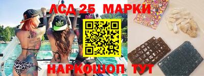 a pvp Новозыбков