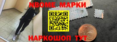a pvp Новозыбков