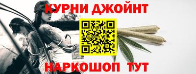 a pvp Новозыбков