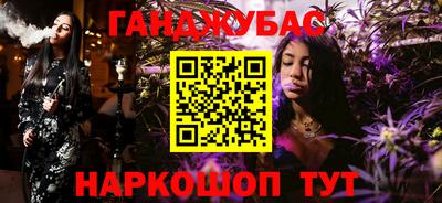 a pvp Новозыбков