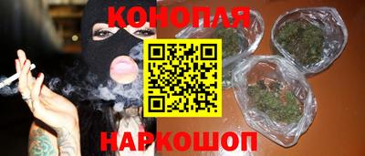 a pvp Новозыбков