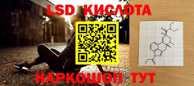 a pvp Новозыбков
