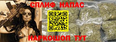 a pvp Новозыбков