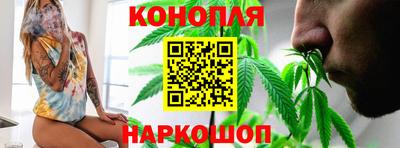 a pvp Новозыбков