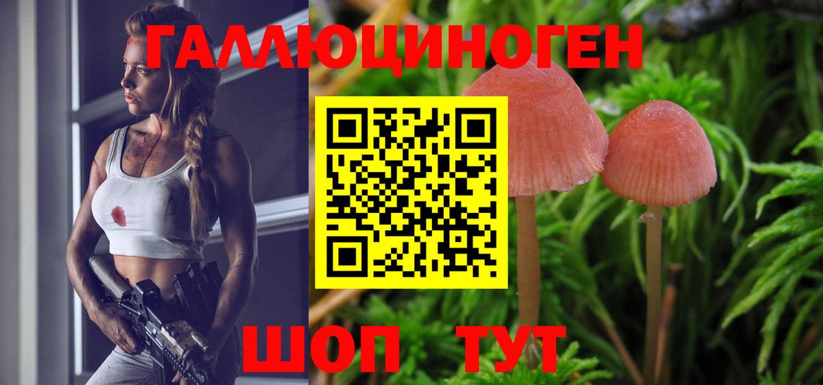 Полысаево  Псилоцибиновые грибы Psilocybine cubensis  Вход с VPN 